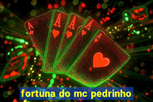 fortuna do mc pedrinho