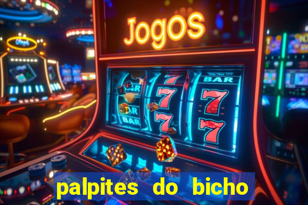 palpites do bicho no celular