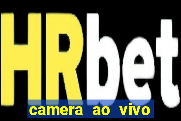 camera ao vivo beto carrero