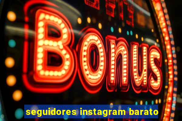 seguidores instagram barato