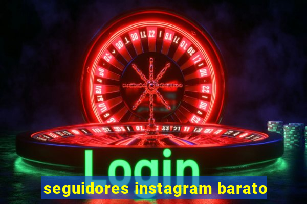 seguidores instagram barato