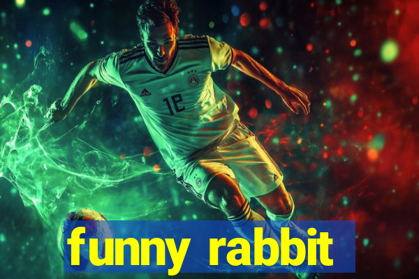 funny rabbit