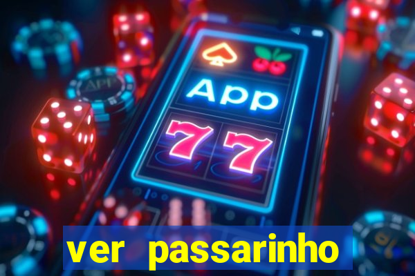 ver passarinho morto significado