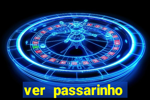 ver passarinho morto significado