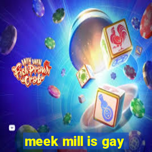 meek mill is gay