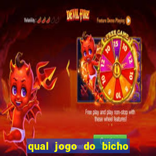 qual jogo do bicho paga mais