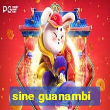 sine guanambi