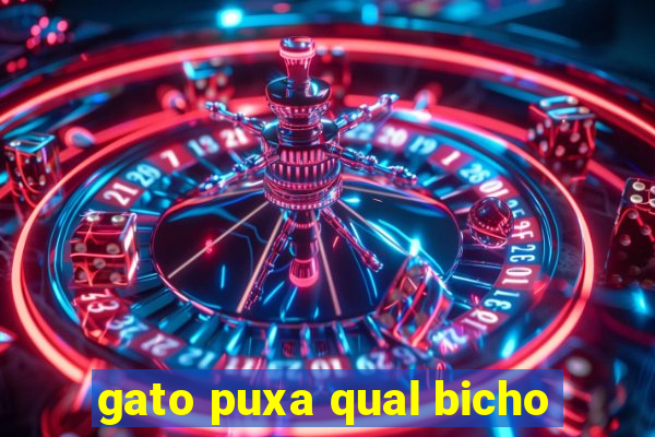 gato puxa qual bicho