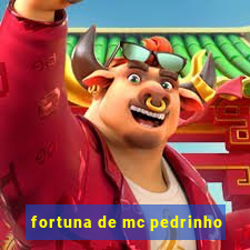 fortuna de mc pedrinho