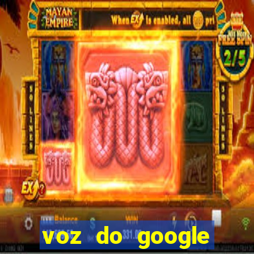 voz do google tradutor homem