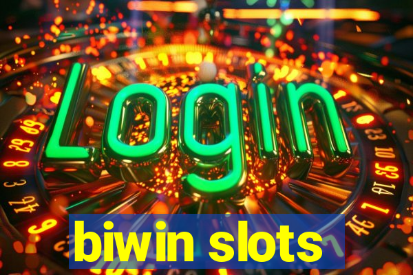 biwin slots