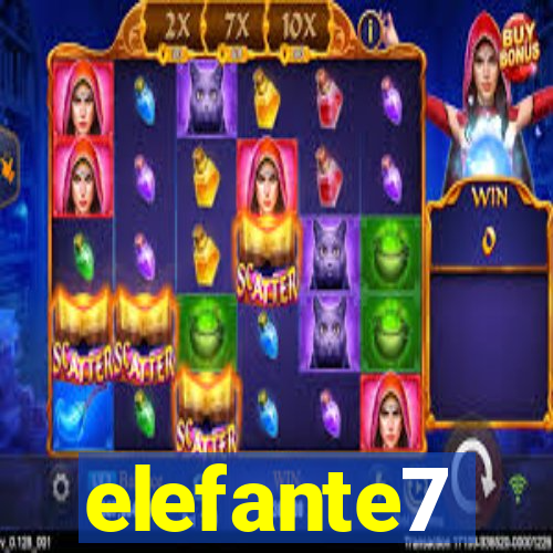 elefante7