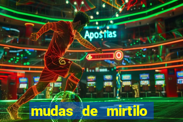 mudas de mirtilo em porto alegre