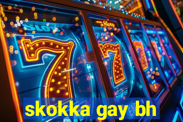 skokka gay bh