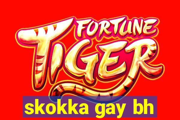 skokka gay bh