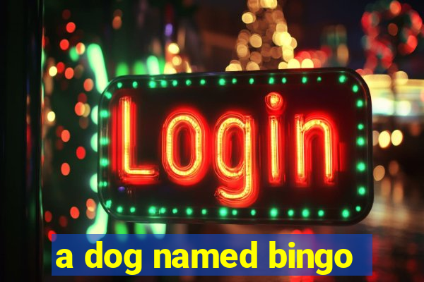 a dog named bingo