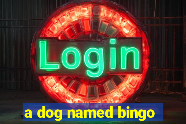 a dog named bingo