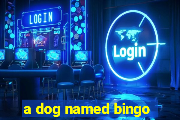 a dog named bingo