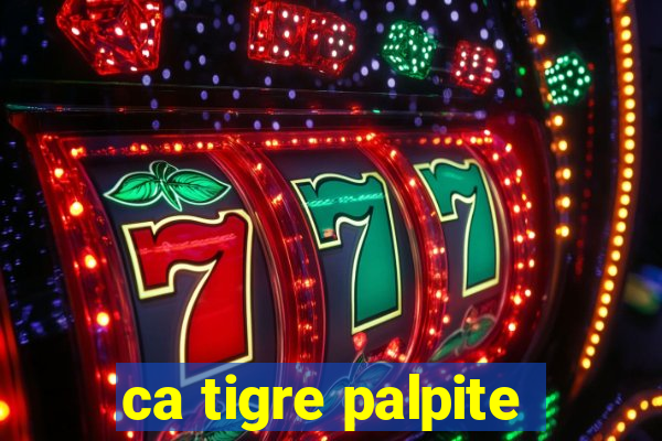 ca tigre palpite