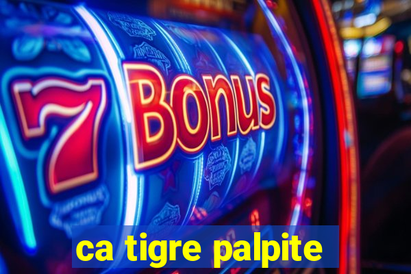 ca tigre palpite