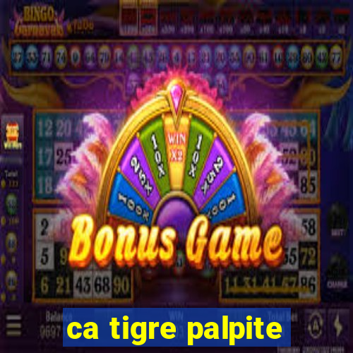 ca tigre palpite