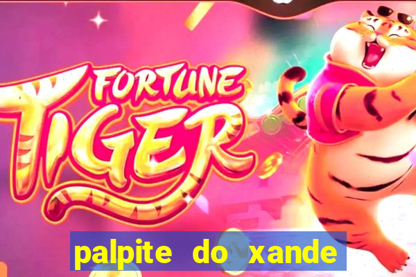 palpite do xande para hoje