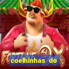 coelhinhas do brasil jp