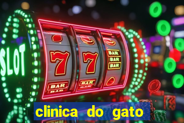 clinica do gato porto alegre