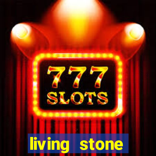 living stone network tv