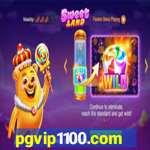 pgvip1100.com