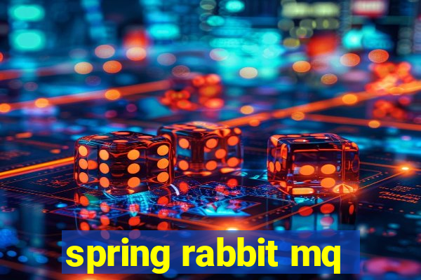 spring rabbit mq