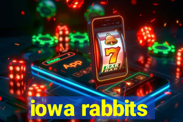 iowa rabbits