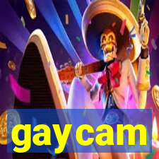 gaycam