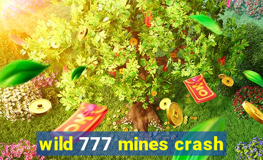 wild 777 mines crash