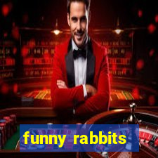 funny rabbits