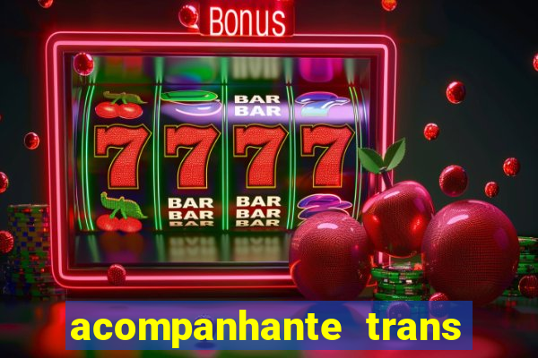 acompanhante trans em santos