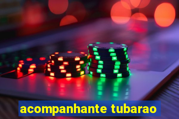 acompanhante tubarao