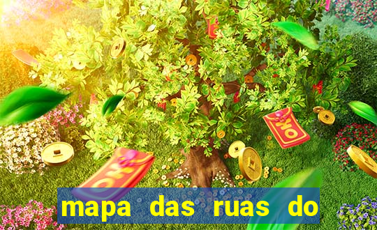 mapa das ruas do bras sp