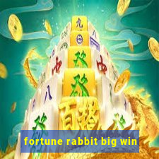 fortune rabbit big win