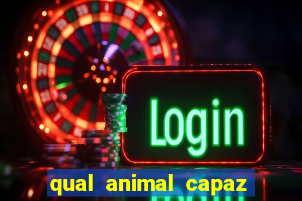 qual animal capaz de atingir 230 decibéis