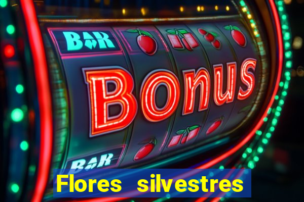 Flores silvestres brasileiras 25