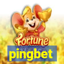 pingbet