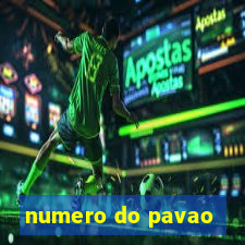 numero do pavao