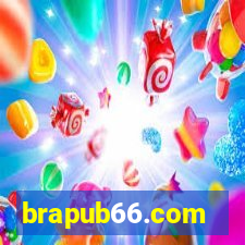 brapub66.com