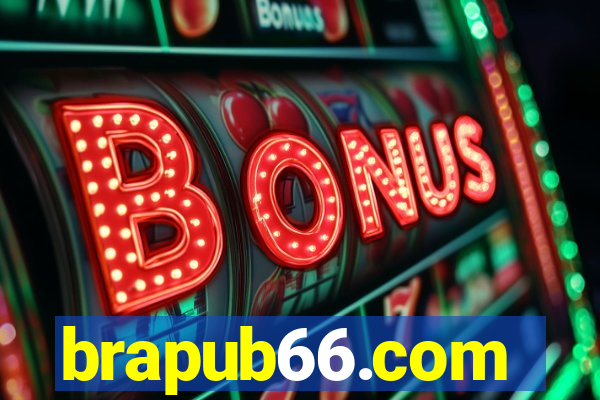 brapub66.com