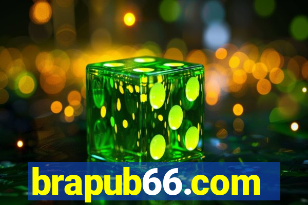 brapub66.com