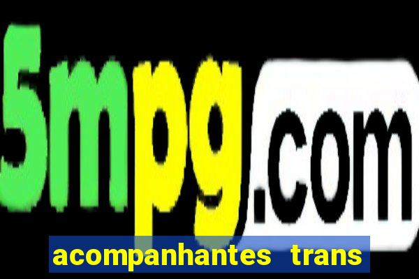 acompanhantes trans porto seguro