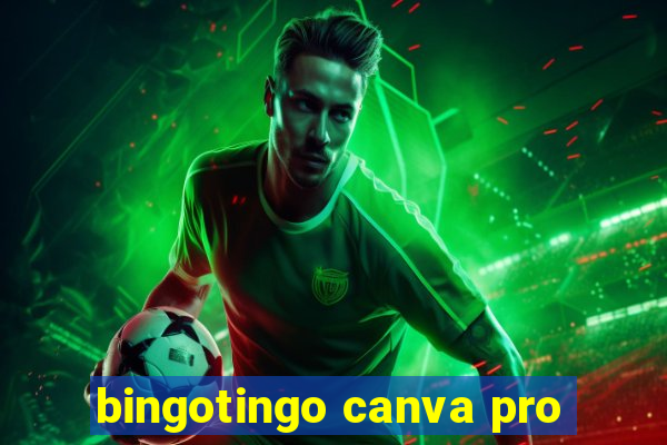 bingotingo canva pro