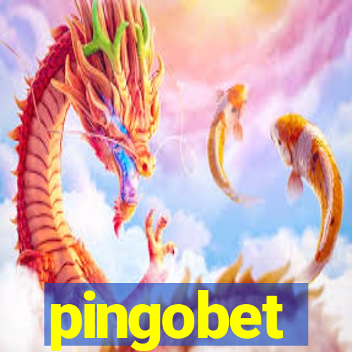 pingobet