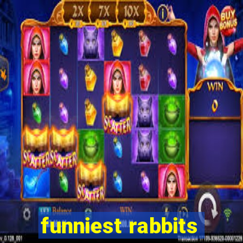 funniest rabbits